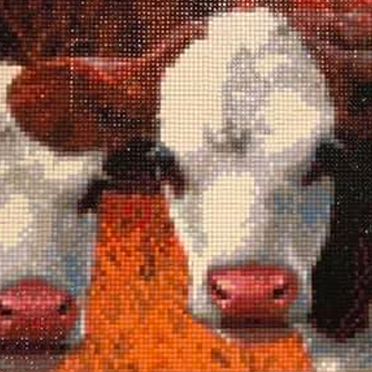 thumbnail image 2 of Aazon.co: Igoodo Highland Cow Diaond Painting Kit For Adults, Cow 2 of 11