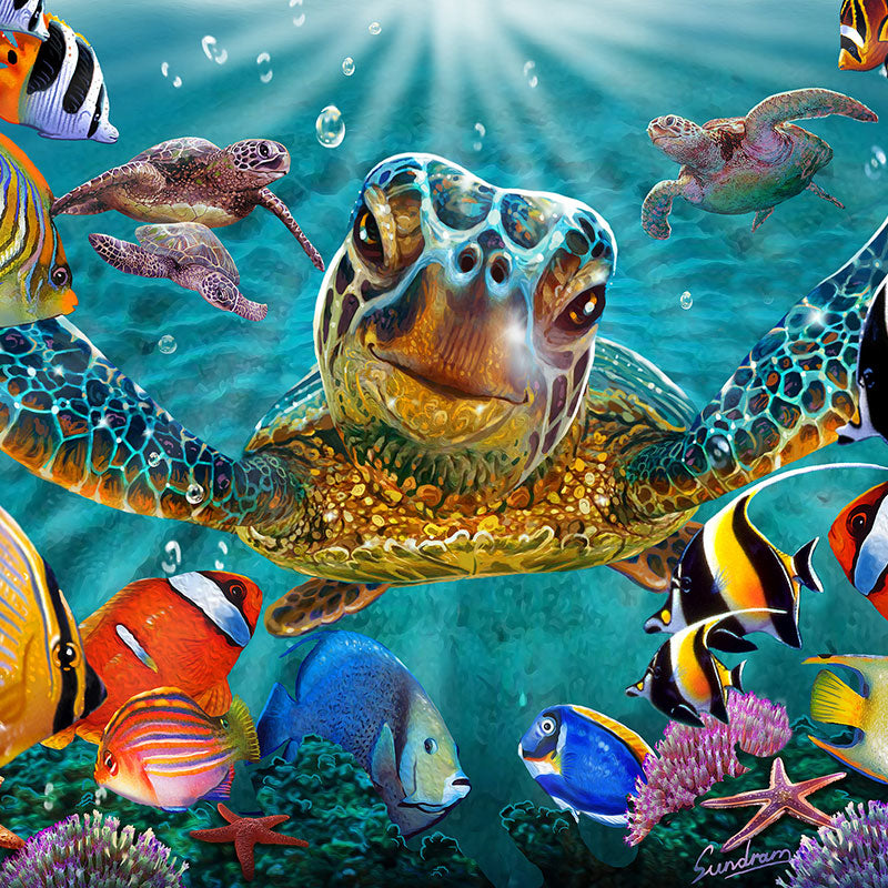 Steve Sundram Officially Licensed Diamond Painting Kits Paint With