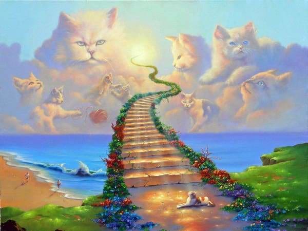 Religious Diamond Painting Kit - All Cats Go To Heaven-Square 15x20cm- - Paint With Diamonds