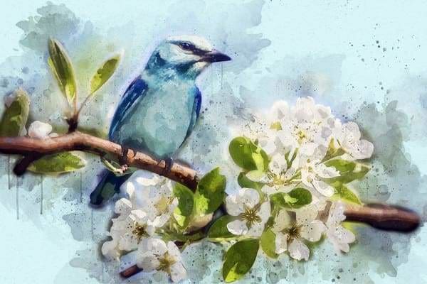 Flower Diamond Painting Kit - Blue-Feathered Bird-Square 20x30cm- - Paint With Diamonds