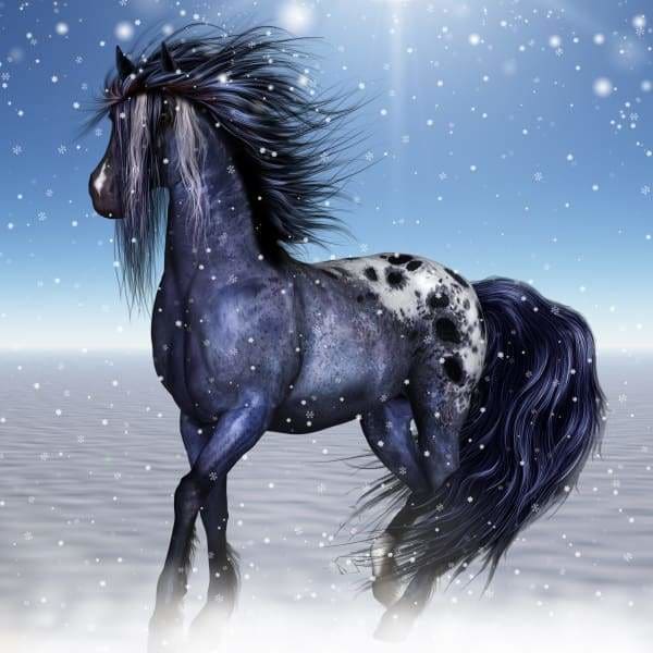Horse Diamond Painting Kit - Fantasy Equine-Square 20x20cm- - Paint With Diamonds