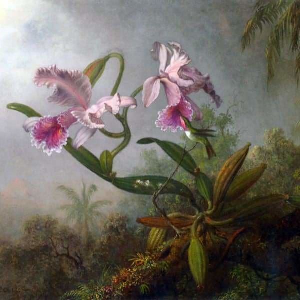 Nature Diamond Painting Kit - Orchid Hummingbird-Square 20x20cm- - Paint With Diamonds