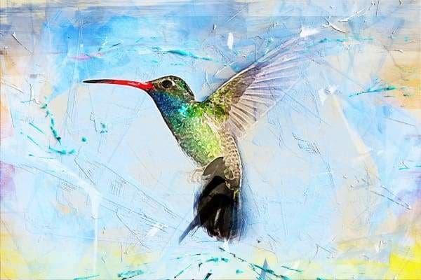 Nature Diamond Painting Kit - Sweet Hummingbird-Square 20x30cm- - Paint With Diamonds