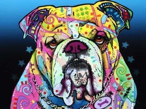 Dog Diamond Painting Kit - The Bulldog- - Paint With Diamonds