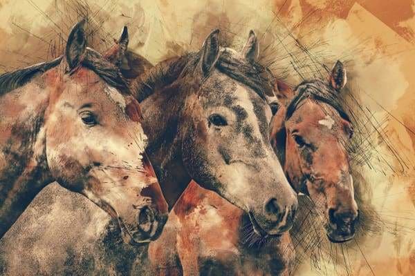 Horse Diamond Painting Kit - Tres Horses-Square 20x30cm- - Paint With Diamonds