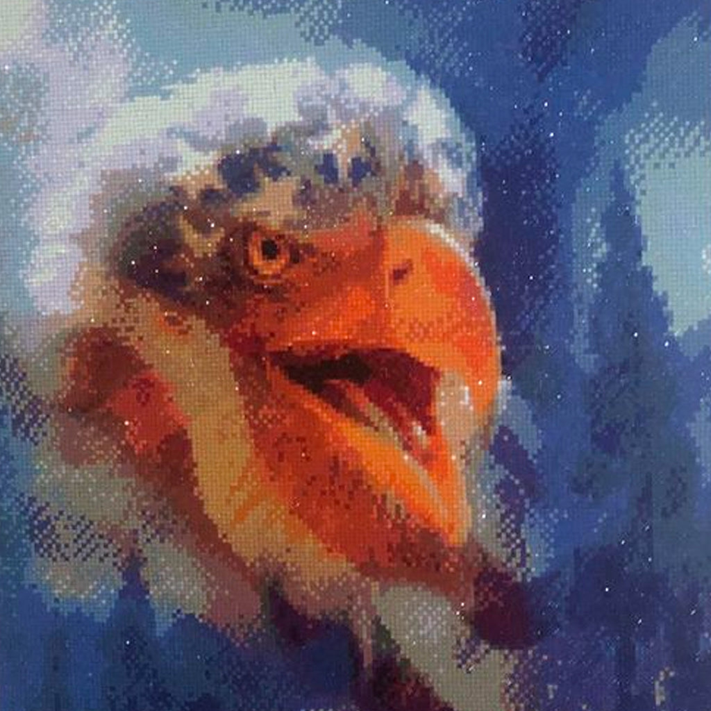 Eagle Colored Diamond Painting Kits 5D Diamond Art Kits for Adults, Large  Size (32x16 In), DIY Paint by Numbers, Diamond Dots, Crystal Rhinestone  Arts