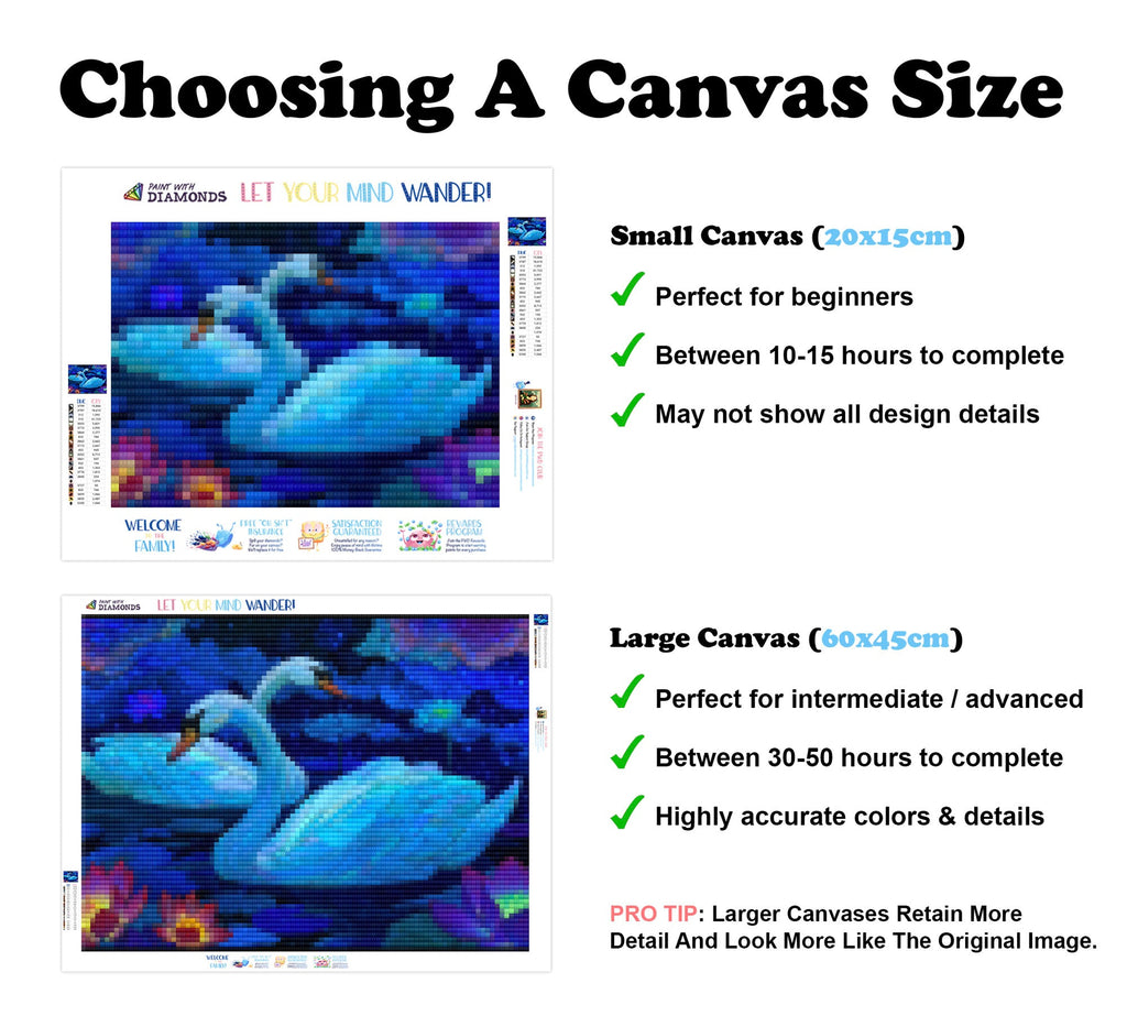 Cosmic Swan Lake - Product Mockup 3