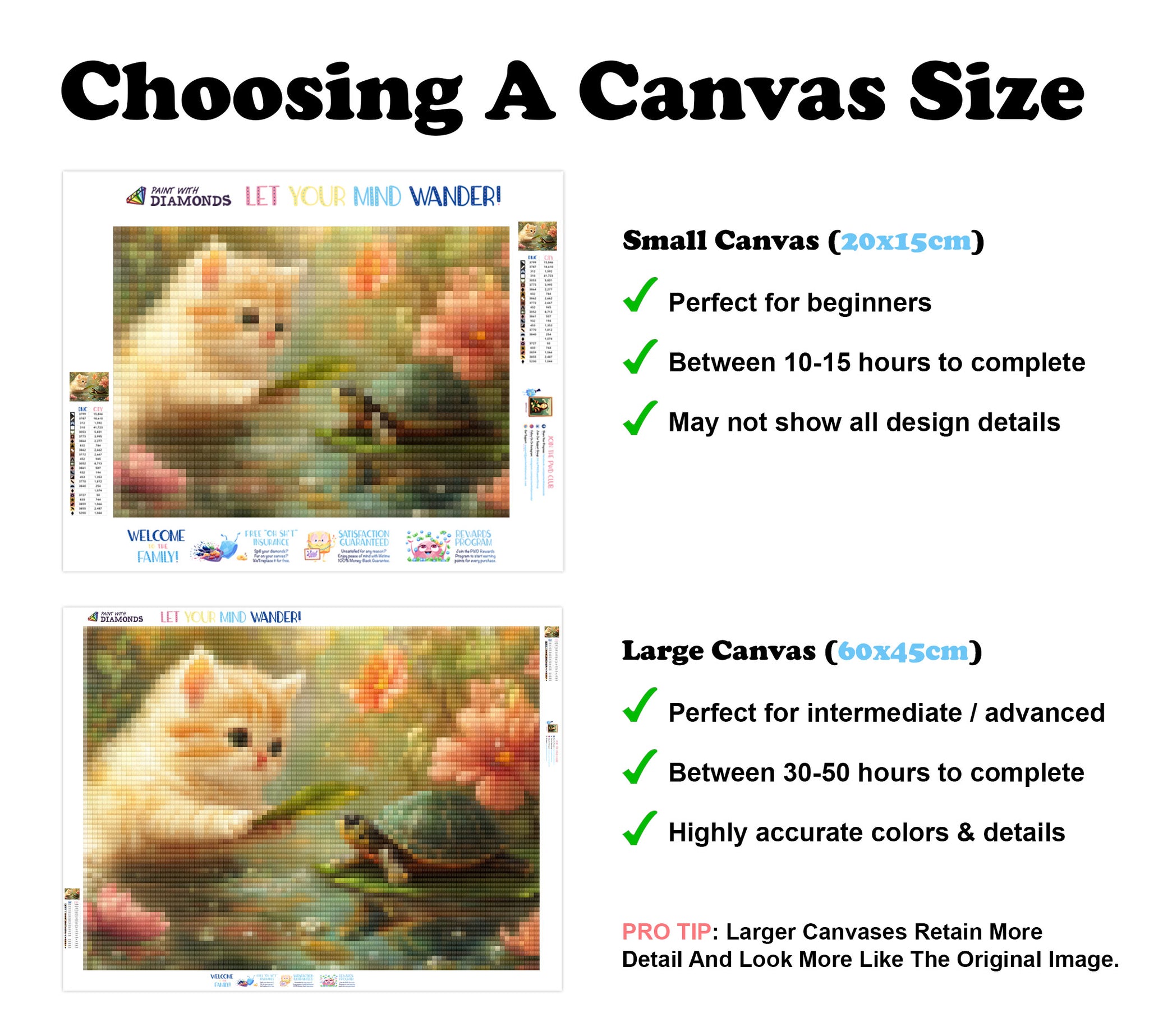 Fluffy Kitten And A Small Turtle Official Diamond Painting Kit