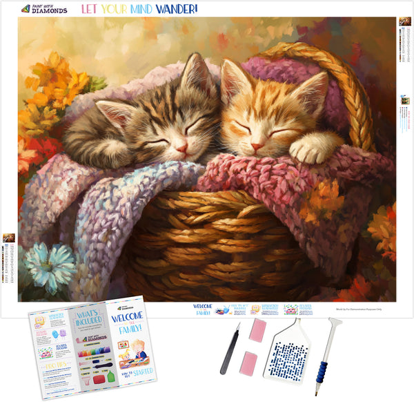 Sleepy-Kittens-in-a-