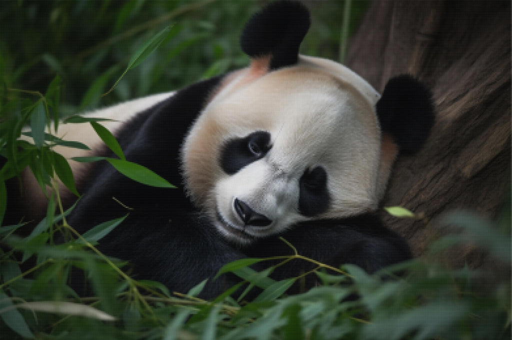 Sleepy Panda Official Diamond Painting Kit | Diamond Art | Paint With ...