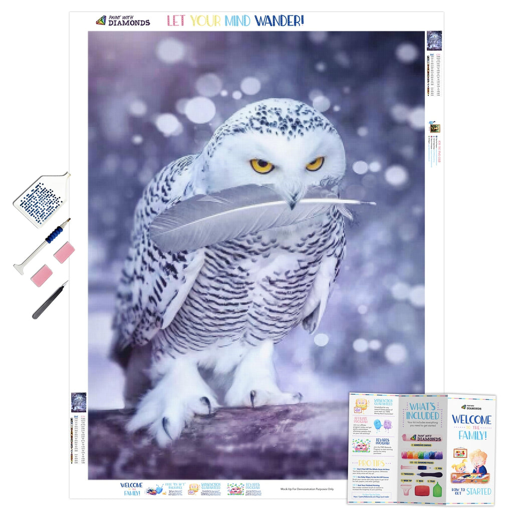CNKOO DIY 5D Diamond Painting Kits Owl Paint with Diamonds Kit,Full Drill  Owl Diamonds Art Kit for Kids Adults,12×16 inches Exotic Owl 