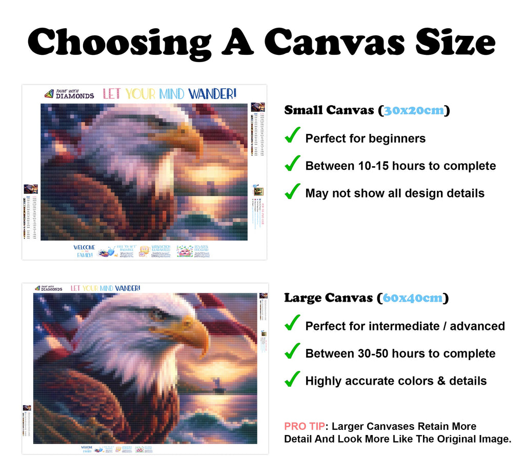 Bald Eagle Crashing Waves Official Diamond Painting Kit Diamond Art