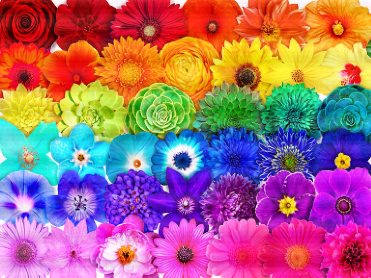 Diamond Art Club Rainbow Flower cheapest Power