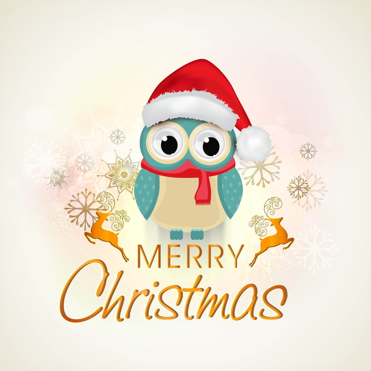 Merry Christmas Owl