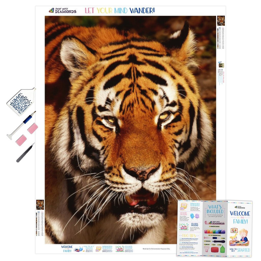 Moonlit White Tiger Family Paint with Diamonds - Goodnessfind