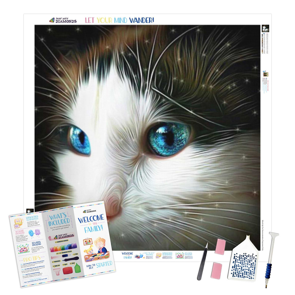 Mysterious Cat Diamond Painting Kit, code Ag 2277 Granny