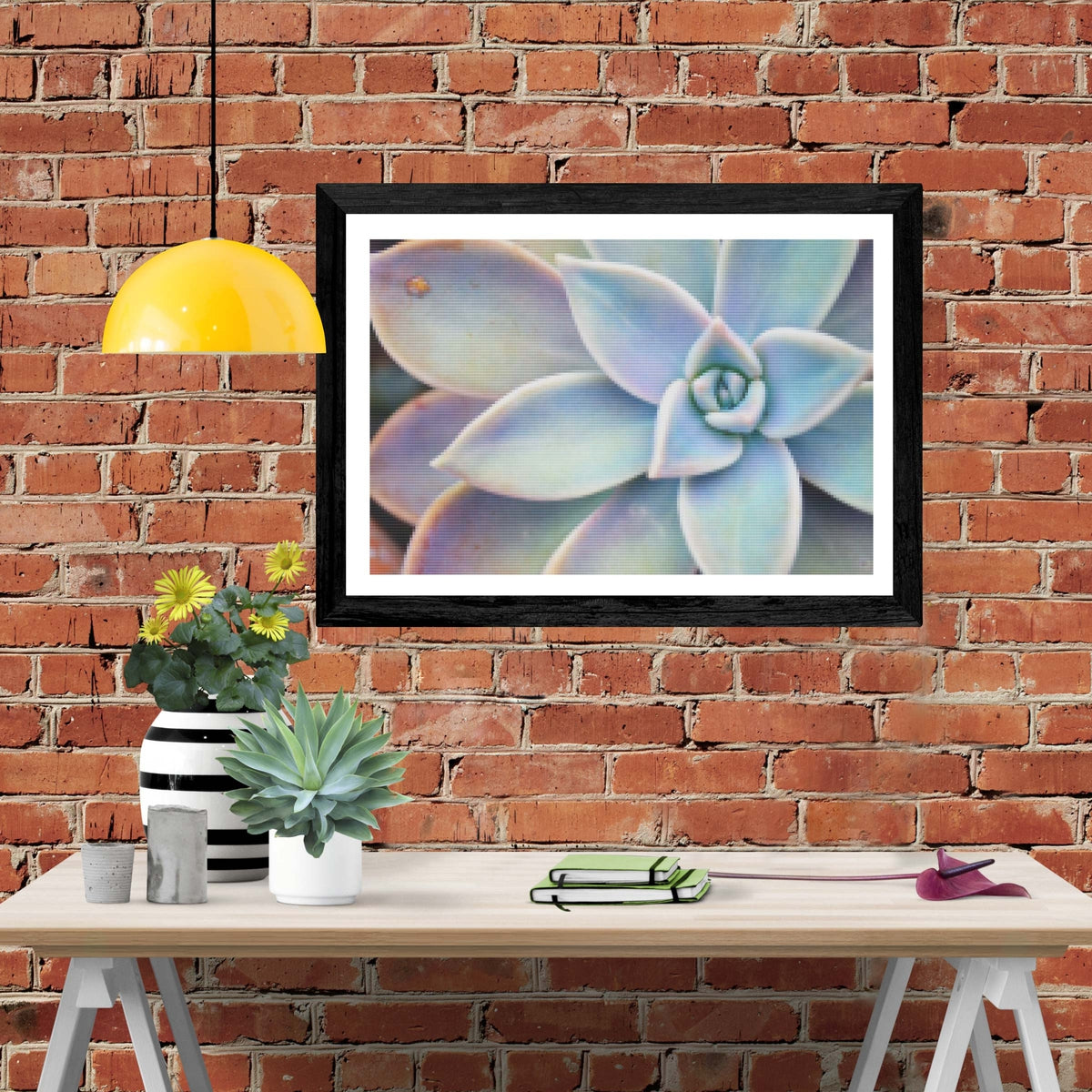 succulent diamond art Succulent Plant