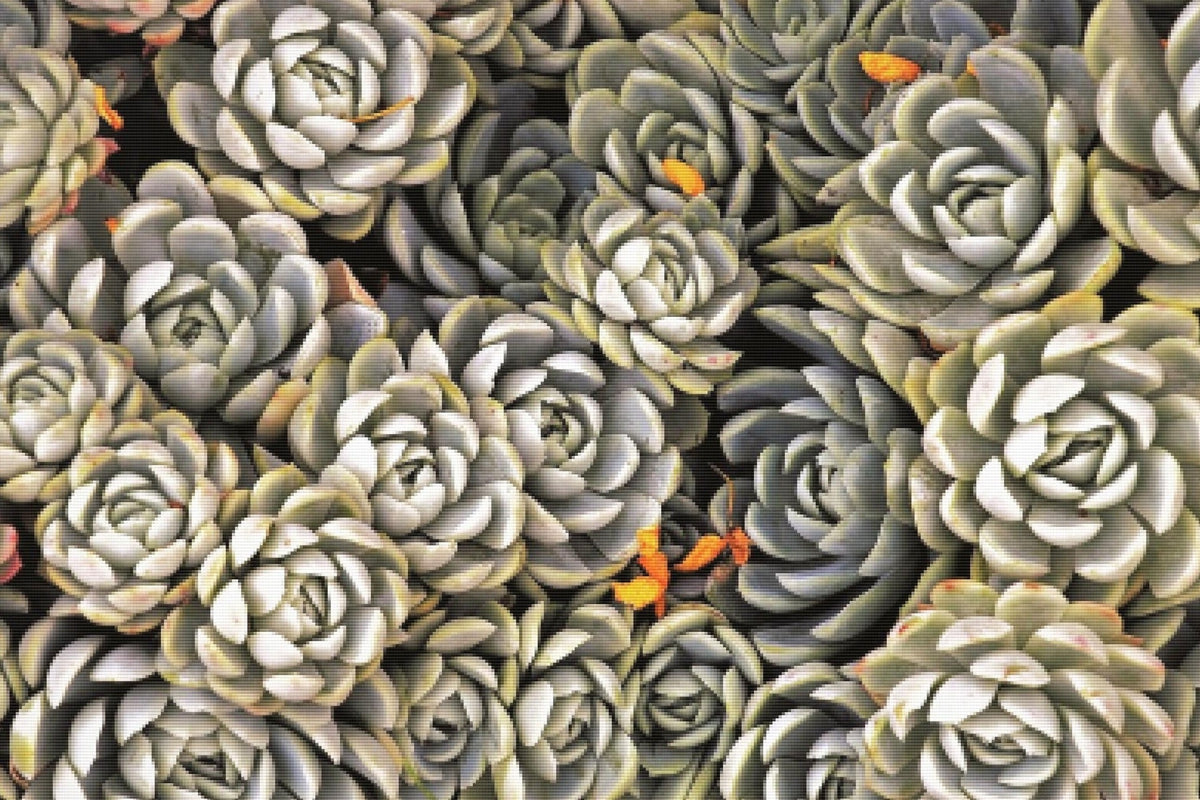 succulents diamond art advanced kit Succulents" Diamond Painting Kit (Full Drill) – Paint With Diamonds