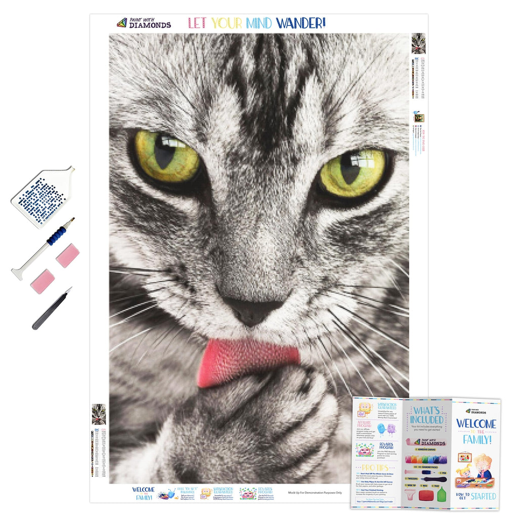 Watercolor Cat Diamond Painting Kit - DIY – Diamond Painting Kits