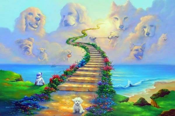 Religious Diamond Painting Kit - All Dogs Go To Heaven-Square 20x30cm- - Paint With Diamonds
