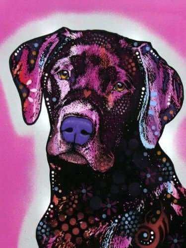 Dog Diamond Painting Kit - Black Lab- - Paint With Diamonds