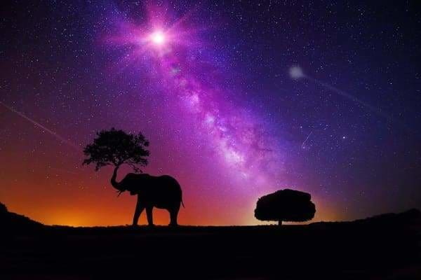 Tree Diamond Painting Kit - Elephant In Another Galaxy-Square 20x30cm- - Paint With Diamonds