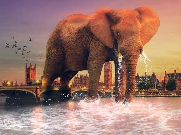 Safari Diamond Painting Kit - Elephant In London-Square 15x20cm- - Paint With Diamonds