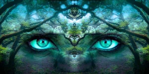 Tree Diamond Painting Kit - Emerald Forest Eyes-Square 40x20cm- - Paint With Diamonds