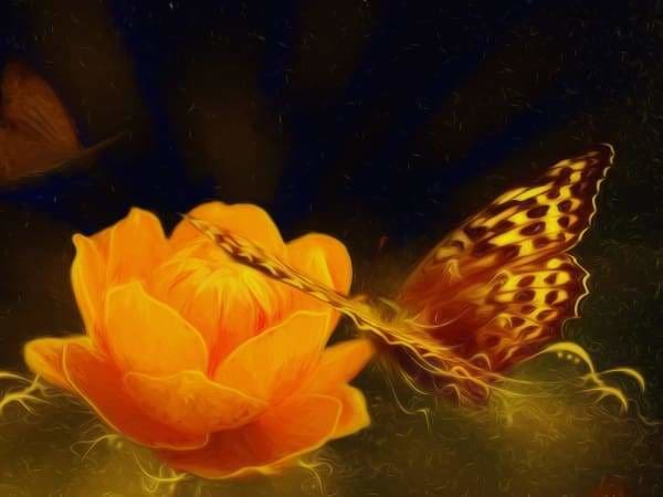 Flower Diamond Painting Kit - Glowing Orange Butterfly-Square 15x20cm- - Paint With Diamonds