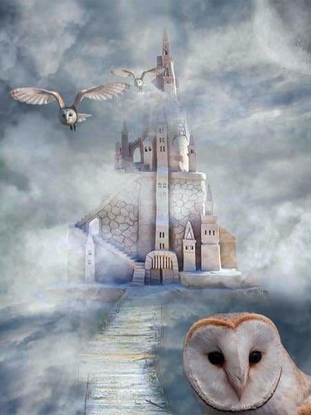 Owl Diamond Painting Kit - Hogwarts-Square 15x20cm- - Paint With Diamonds