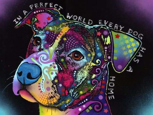 Dog Diamond Painting Kit - In A Perfect World- - Paint With Diamonds