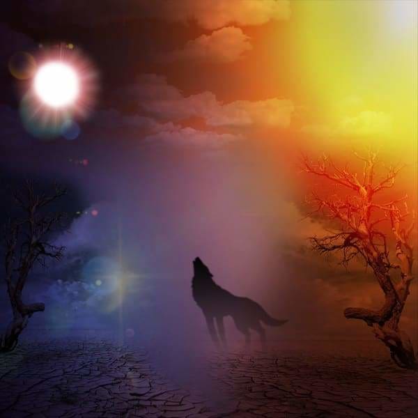 Diamond Painting Howling Wolf Under The Moonlight – Diamonds Wizard
