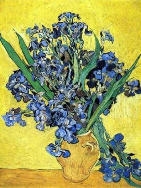 Flower Diamond Painting Kit - Irises-Square 15x20cm- - Paint With Diamonds