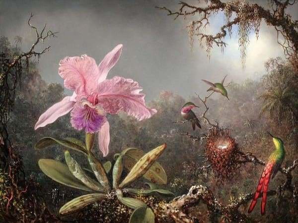 Nature Diamond Painting Kit - Orchids And Hummingbird-Square 15x20cm- - Paint With Diamonds