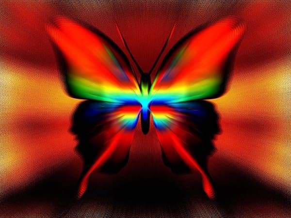 Fantasy Diamond Painting Kit - Rainbow Reverb Butterfly-Square 15x20cm- - Paint With Diamonds