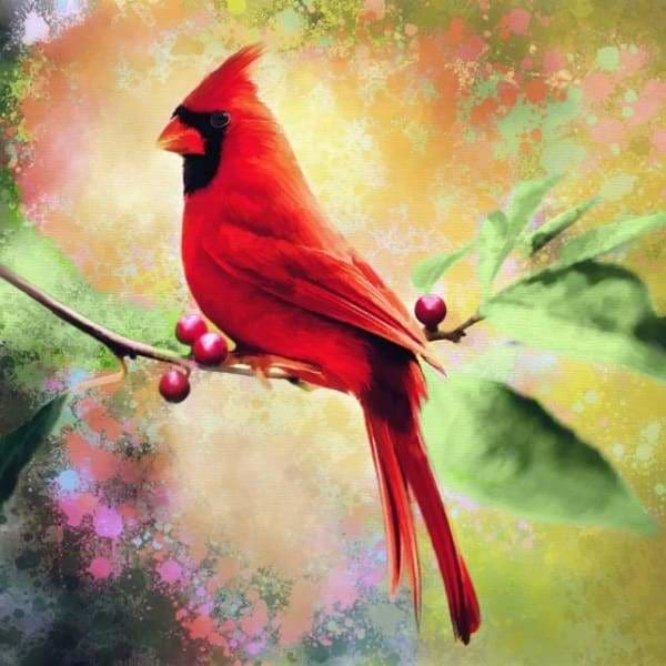 Bird Diamond Painting Kit - Sparkling Cardinal-Square 20x20cm- - Paint With Diamonds