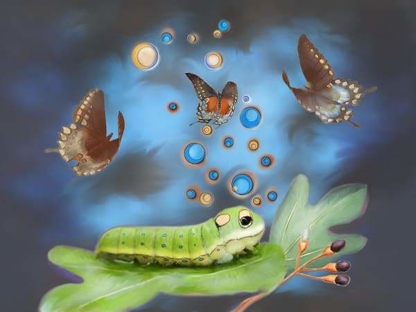 Fantasy Diamond Painting Kit - Spicebush Swallowtail-Square 20x30cm- - Paint With Diamonds