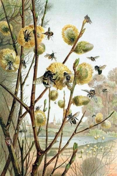 Flower Diamond Painting Kit - Spring Honeybees-Square 20x30cm- - Paint With Diamonds