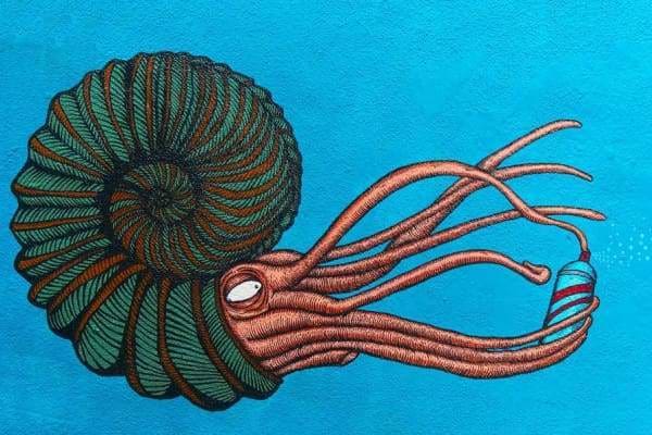 Tree Diamond Painting Kit - Street Art Octopus-Square 20x30cm- - Paint With Diamonds