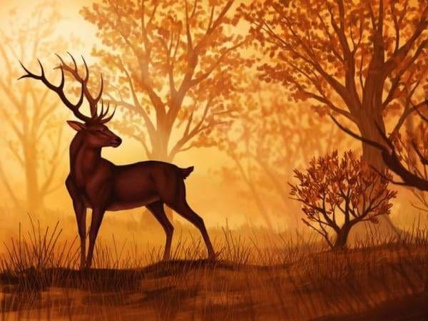 DEER IN THE FOREST Diamond Painting Kit – DAZZLE CRAFTER