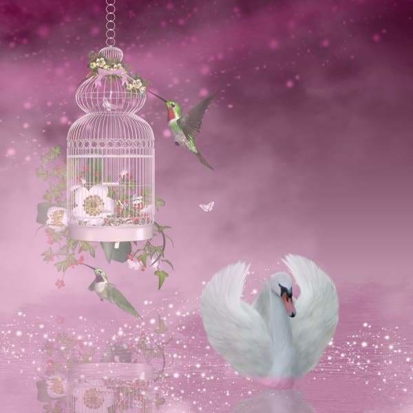 Fantasy Diamond Painting Kit - Swan And Hummingbird-Square 20x20cm- - Paint With Diamonds