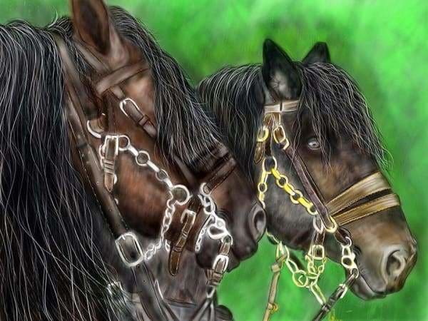Horse Diamond Painting Kit - Trusty Steeds-Square 15x20cm- - Paint With Diamonds