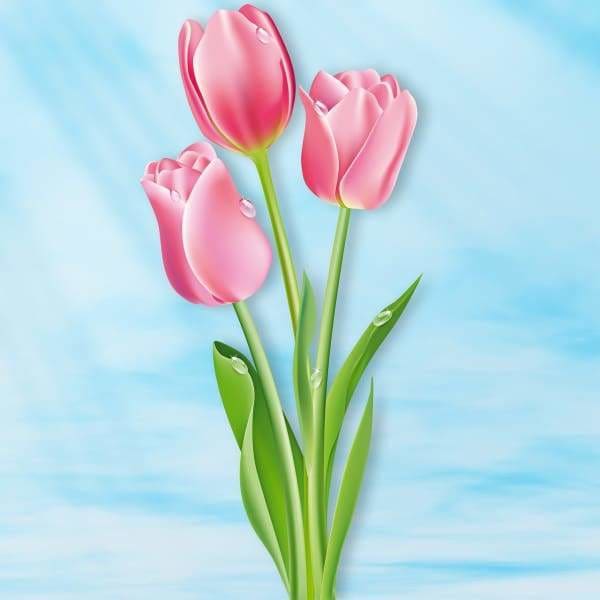 Flower Diamond Painting Kit - Tulip Dreams-Square 20x20cm- - Paint With Diamonds