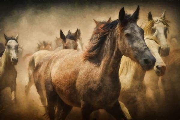 Horse Diamond Painting Kit - Wild Stallion-Square 20x30cm- - Paint With Diamonds